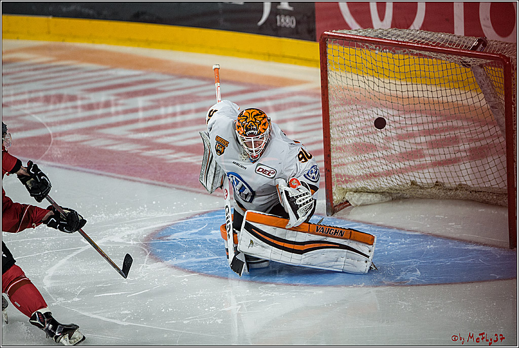 DEL, Koelner Haie - Grizzlys Wolfsburg, 07.03.2017